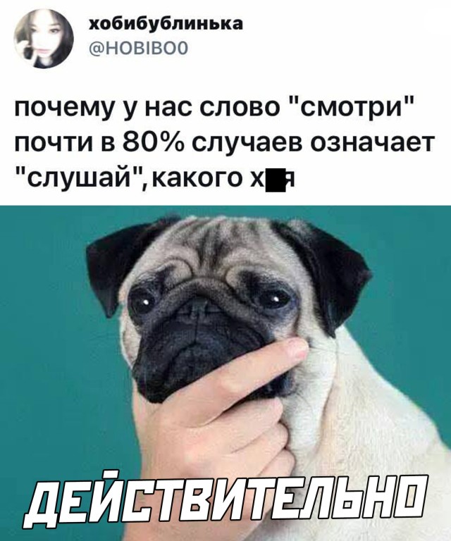 Подборка прикольных картинок Подборка прикольных картинок приколы,смешные картинки,юмор