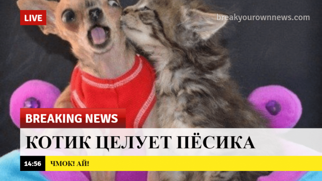 breaking-news-5