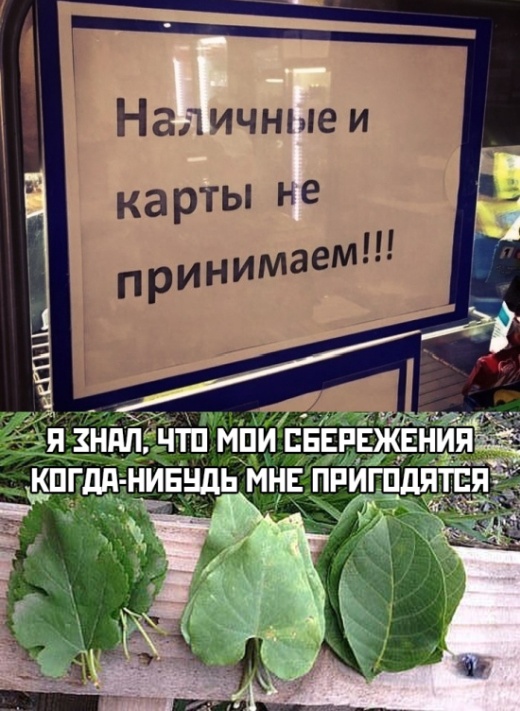 Подборка прикольных картинок Подборка прикольных картинок смешные картинки