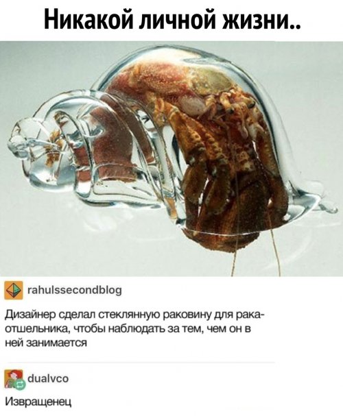 Свежая подборка приколов Свежая подборка приколов