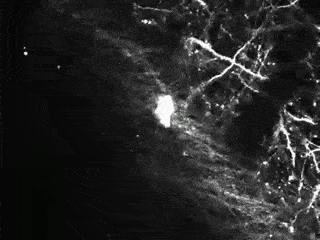 Забавные и прикольные гифки для улыбки Забавные и прикольные гифки для улыбки позитивные девушки гифки