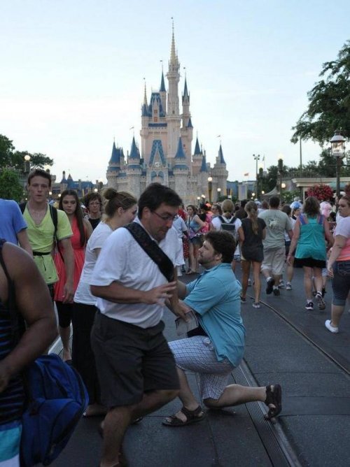 Весёлые фотобомбы Весёлые фотобомбы смешные картинки