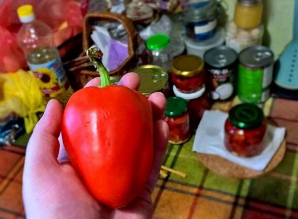 Вяленые перцы Вяленые перцы