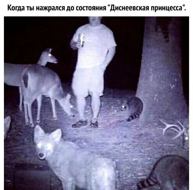 Тяжелее жить становится всё легче и легче… Тяжелее жить становится всё легче и легче…