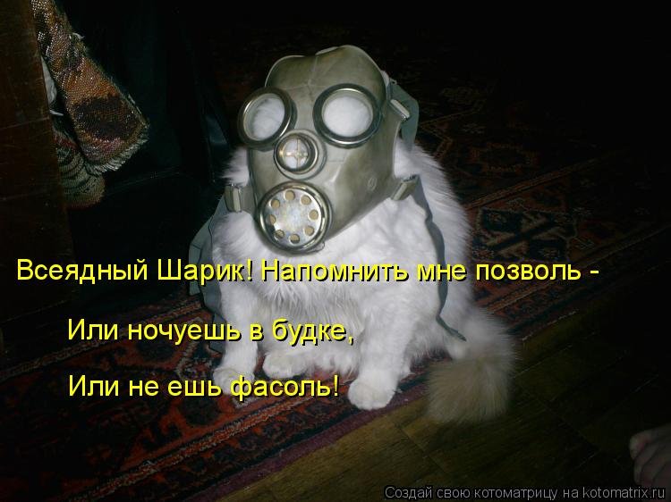 Свежая котоматрица Свежая котоматрица веселые картинки,котоматрица