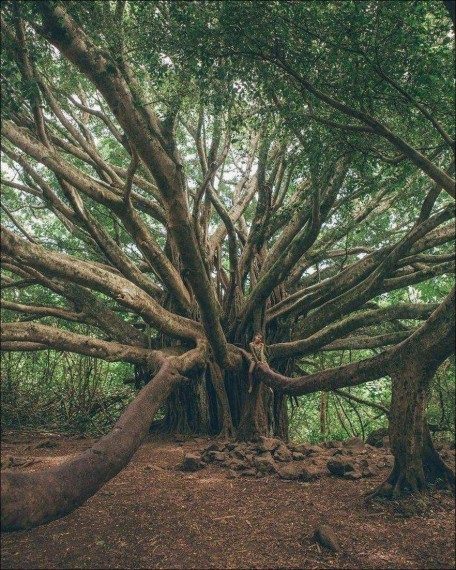 Весёлая подборка 