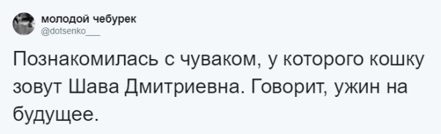 Пользователи соцсетей о необычных кличках домашних питомцев юмор