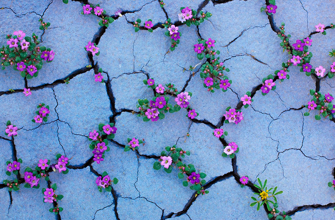 The Good Badlands, USA