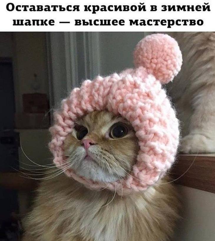 15 отличных анекдотов в картинках, чтоб насмеяться от души 15 отличных анекдотов в картинках, чтоб насмеяться от души