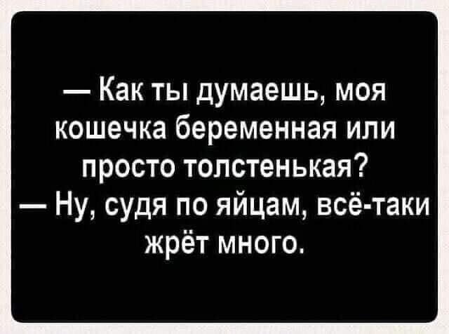 Возможно, это изображение (текст «как ты думаешь, моя кошечка беременная или просто толстенькая? -ну, судя по яйцам, всё-таки жрёт много.»)