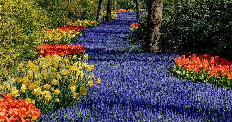 Источник вдохновения: 5 самых красивых садов мира парка, которые, время, Кэнрокуэн, создать, только, тюльпанов, Версаль, дизайна, можно, Живерни, находится, чтобы, другом, ландшафтного, образом, Например, вокруг, например, японского