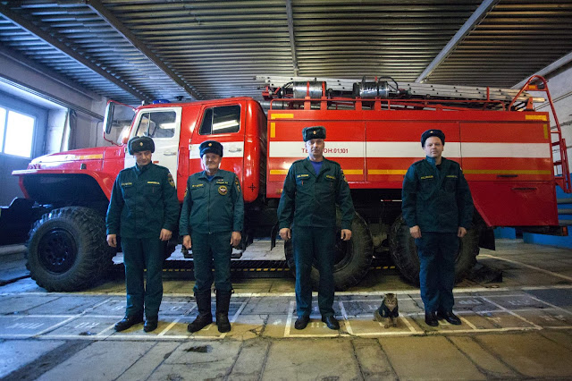 кот семен из пожарной части