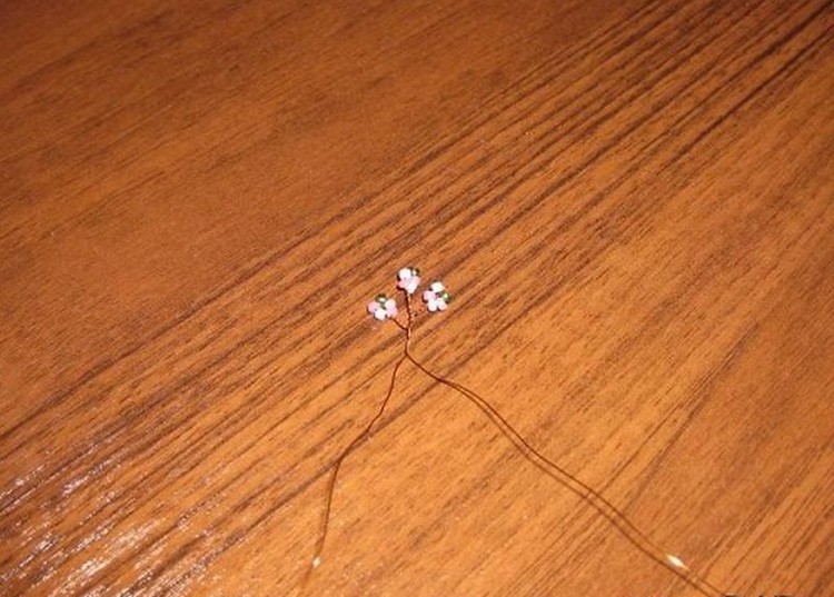 Подарок на 8 марта своими руками: для жены, мамы и любимой Подарок на 8 марта своими руками: для жены, мамы и любимой 8 марта