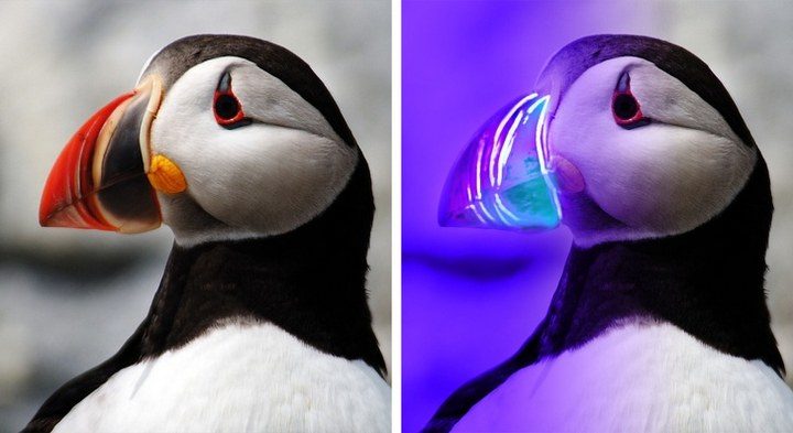 10 прелюбопытнейших фактов о нашем мире 