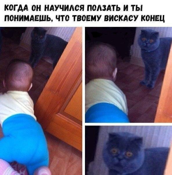 Приколы и мемы про "яжматерей" и детей Приколы и мемы про "яжматерей" и детей позитив,смешные картинки,юмор