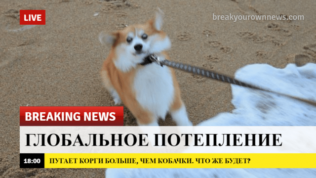 breaking-news-5-1