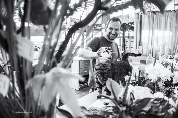 Когда пушистые комочки урчат и радуются Когда пушистые комочки урчат и радуются