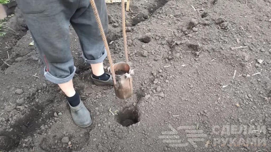 Как посадить картошку без лопаты. Делаем самодельное приспособление для посадки картофеля для дома и дачи,мастер-класс