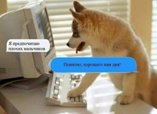 Картинки с надписями  