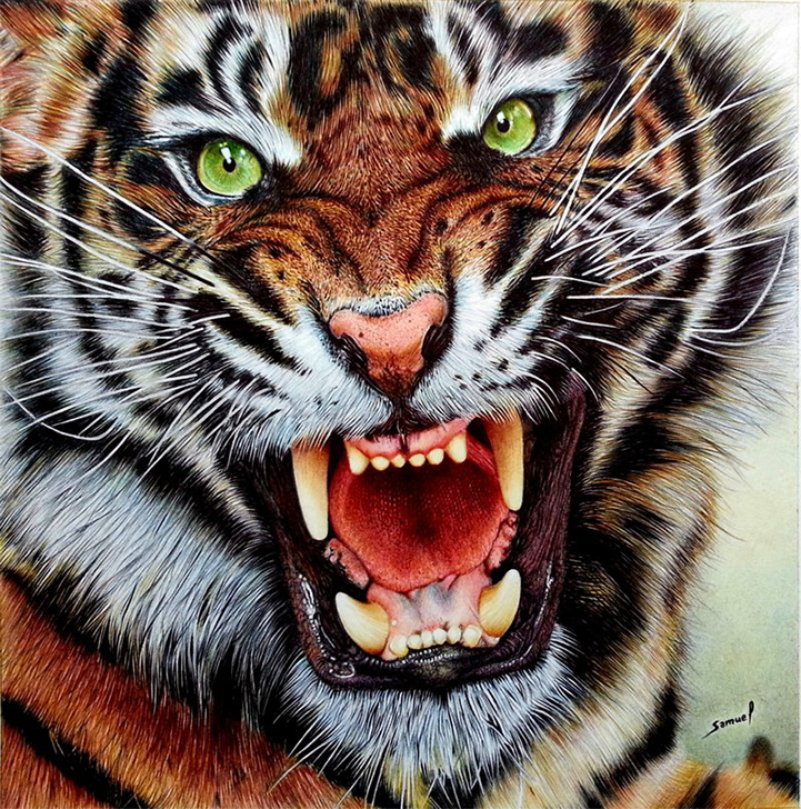 Реалистичные рисунки Samuel Silva