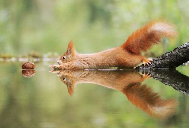 Приколы для расслабона Приколы для расслабона