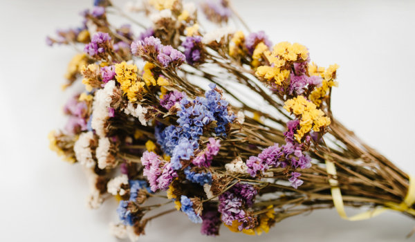 Первый Март-Баба Марта