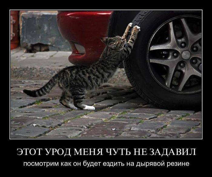 Подборка забавных, смешных и прикольных демотиваторов из нашей жизни Подборка забавных, смешных и прикольных демотиваторов из нашей жизни демотиваторы свежие,смешные демотиваторы