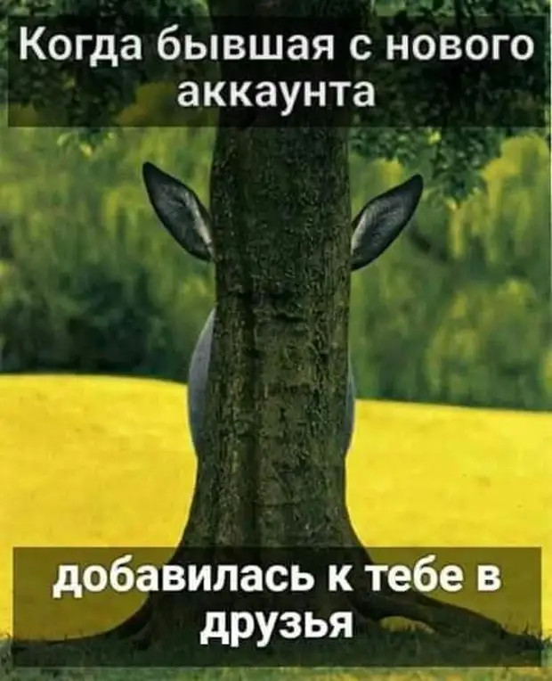 Женщины, притащить мужика к алтарю – это вам не за конями гоняться, останавливать их на скаку и по горящим избам метаться! Женщины, притащить мужика к алтарю – это вам не за конями гоняться, останавливать их на скаку и по горящим избам метаться! говорит, когда, связь, мастер, интимную, очень, счастье, отвечает, козел, положишь, гроба, любовницы, столетия, своего, видишь, юбилярша, стоятВ, очереди, провожают, участковому