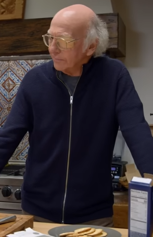Larry David plays a fictionalized version of himself on Curb Your Enthusiasm.