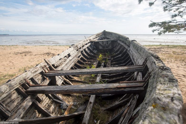 Из первых уст: Белое море, кладбище карбасов Белое море,корабли