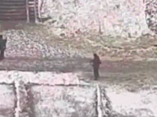 Киевские коммунальщики решили косить траву под снегом (Видео)