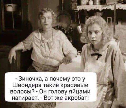 Если синоптики говорят, что завтра будет ясно, не обольщайтесь... Весёлые