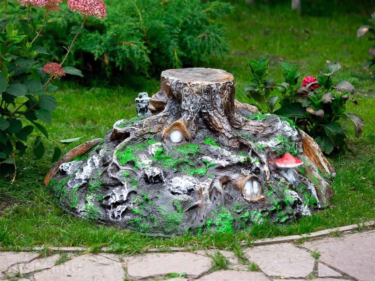 Рутарий на участке — фото и примеры