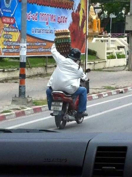 Свежие картинки и фото приколы для настроения Свежие картинки и фото приколы для настроения