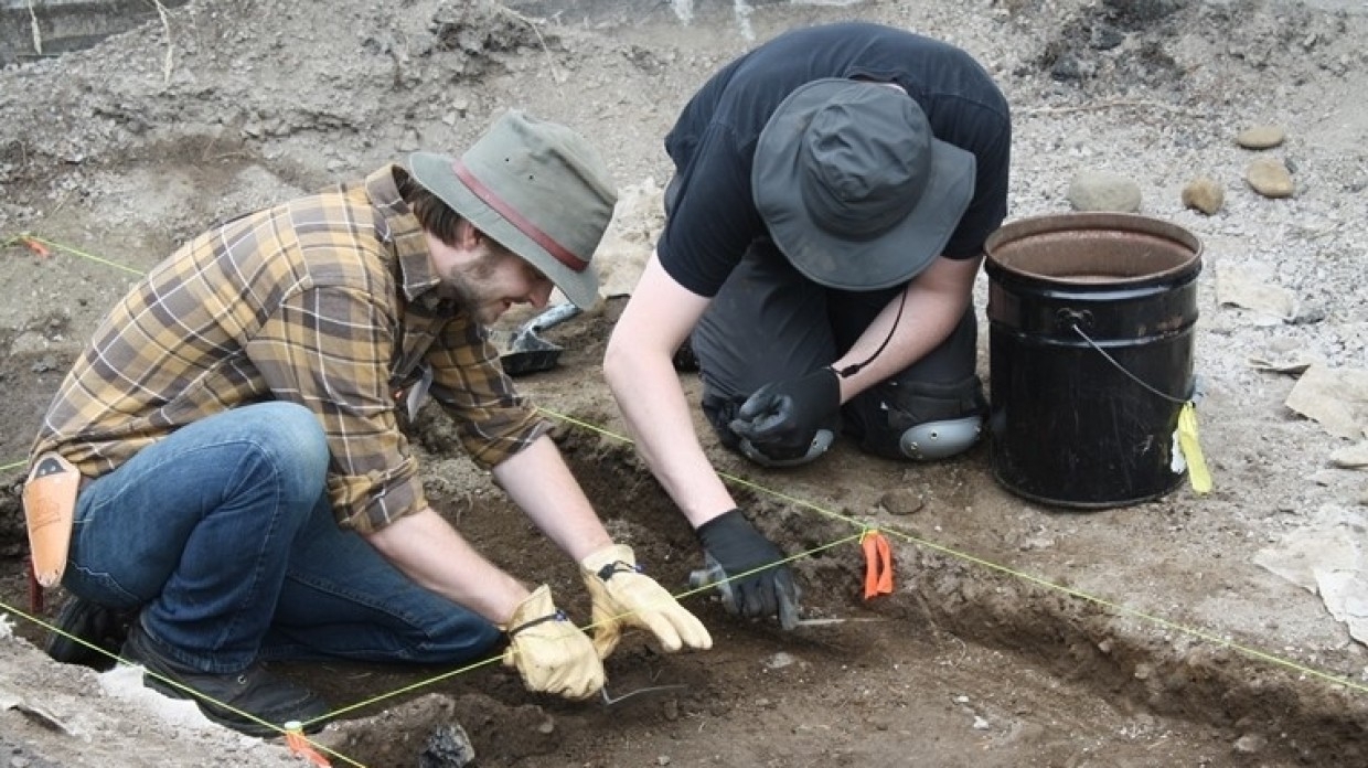 Археологи обнаружили тысячелетнего деревянного идола на западе Ирландии