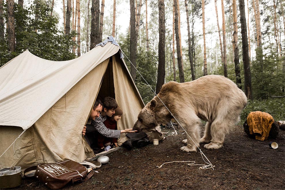 Like in a fairy tale. pictures of Russian family playing with a bear 03