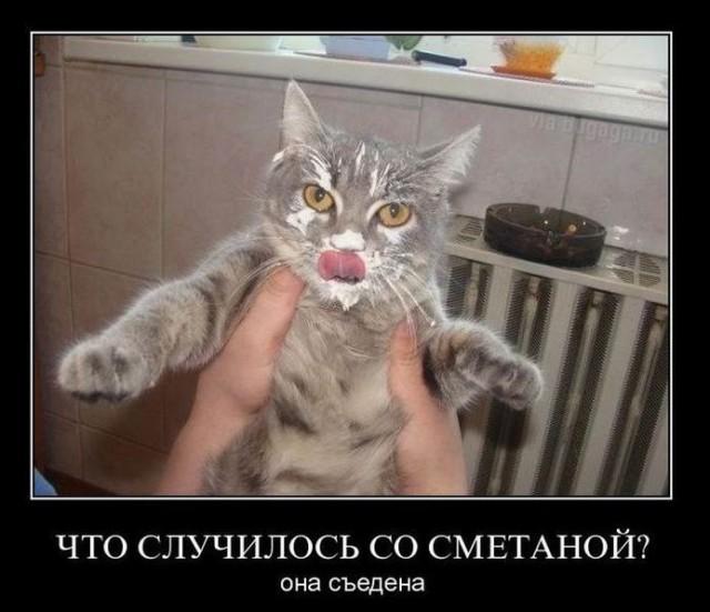 Новые демотиваторы и ненависть к будильникам Новые демотиваторы и ненависть к будильникам