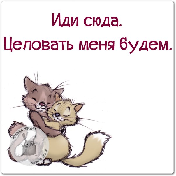 Целуй меня везде открытка