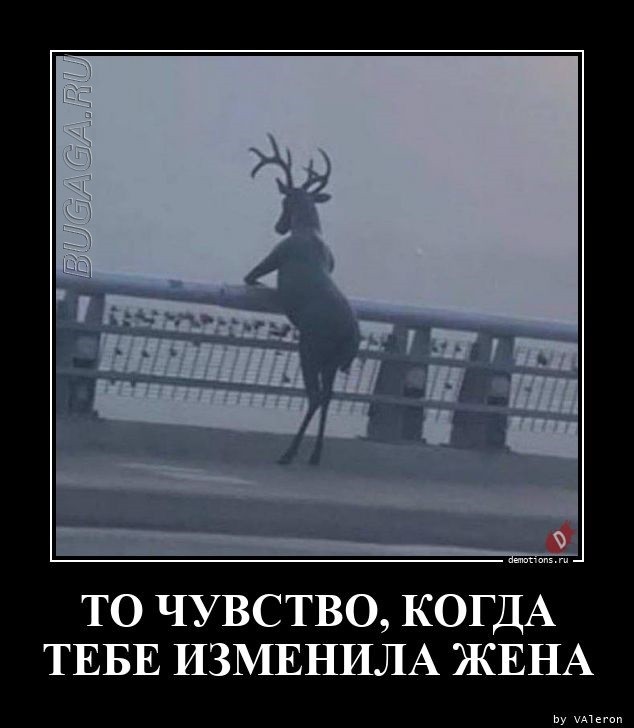 Демотиваторы дня: «Овощ, который знает ВСЁ!»  