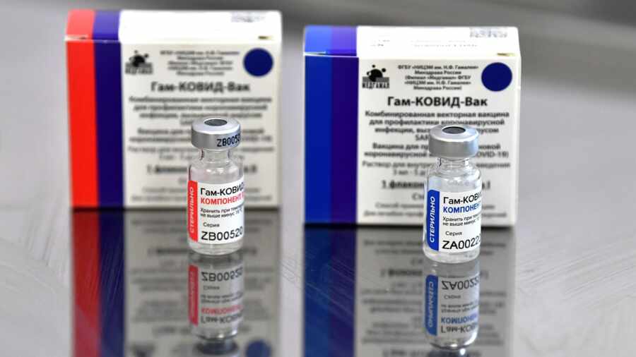 Гинцбург заявил, что "Спутник V" и назальная вакцина могут защитить от коронавируса на 100%