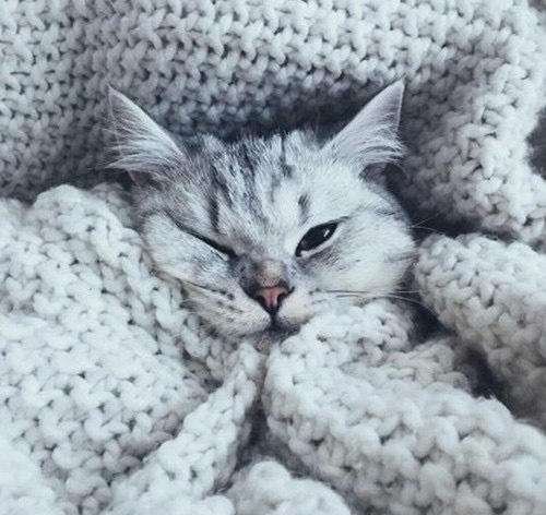 Позитивные фотографии и милые картинки для улыбки Позитивные фотографии и милые картинки для улыбки