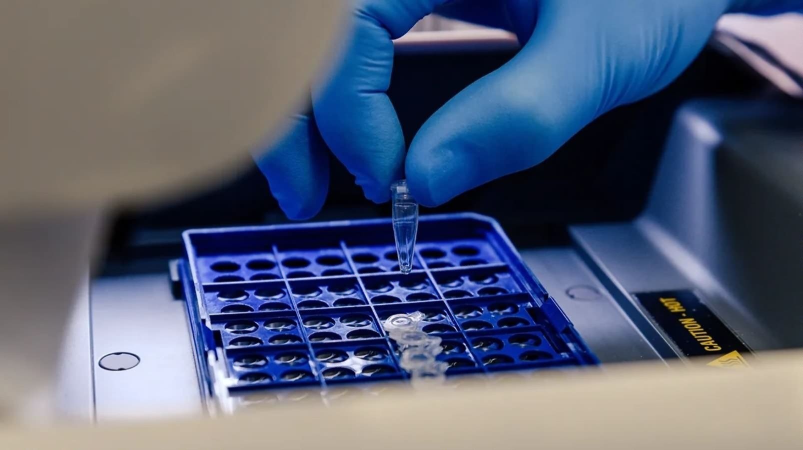 Screenshot_2025_09_15-15