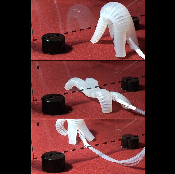 Роботы на работе