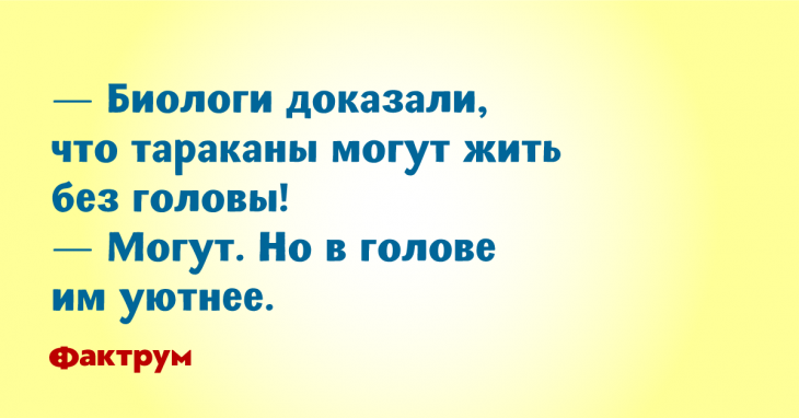 Подборка новеньких анекдотов с пылу с жару