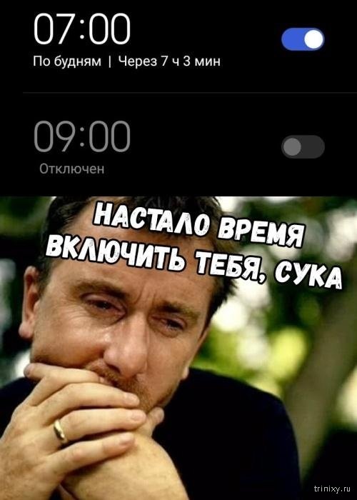 Майские праздники прошли Майские праздники прошли смешные картинки