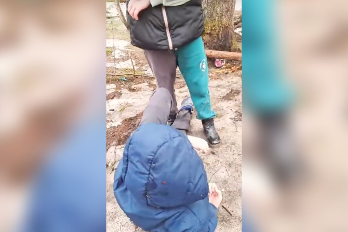 В Пермском крае девочки-подростки ограбили и избили мальчика