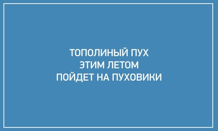Подборка прикольных фото  (106 фото)