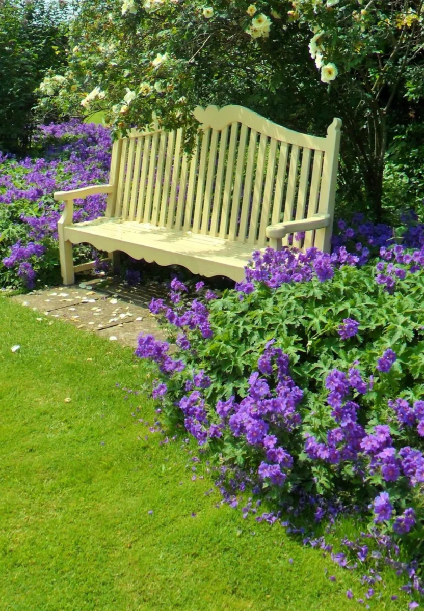 Любимая скамейка в саду для дома и дачи,идеи и вдохновение