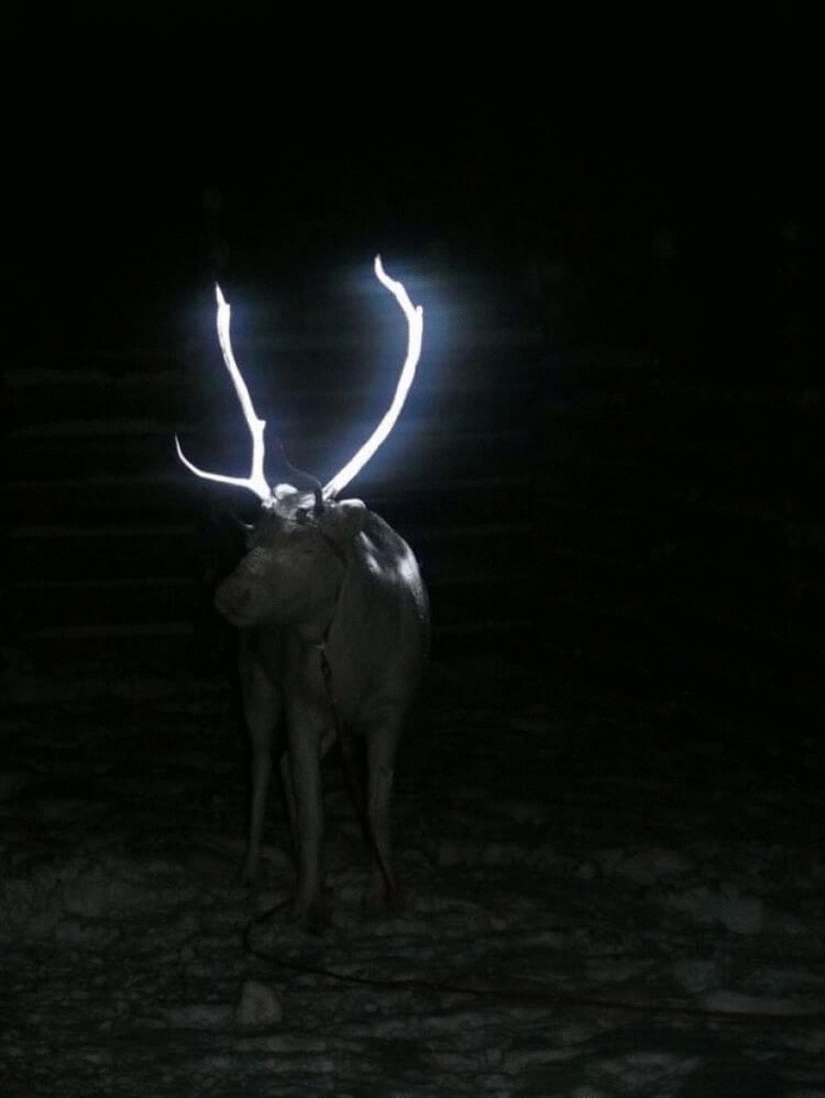 17 бытовых мелочей, которые заставляют люто завидовать финнам 