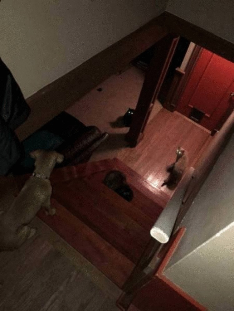 25 фотографий, которые вызывают только один возглас: «Нет-нет, только не это!» 25 фотографий, которые вызывают только один возглас: «Нет-нет, только не это!»